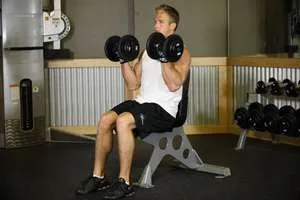 Dumbbell biceps curl, end position